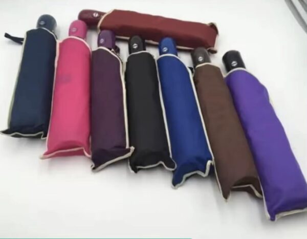 Folding Umbrella
